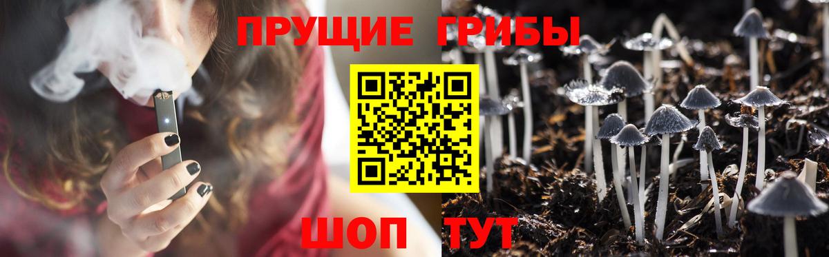 Псилоцибиновые грибы Psilocybine cubensis Ханты-Мансийск